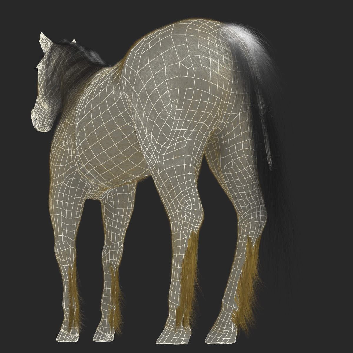 3D Unicorn with Fur 2 model