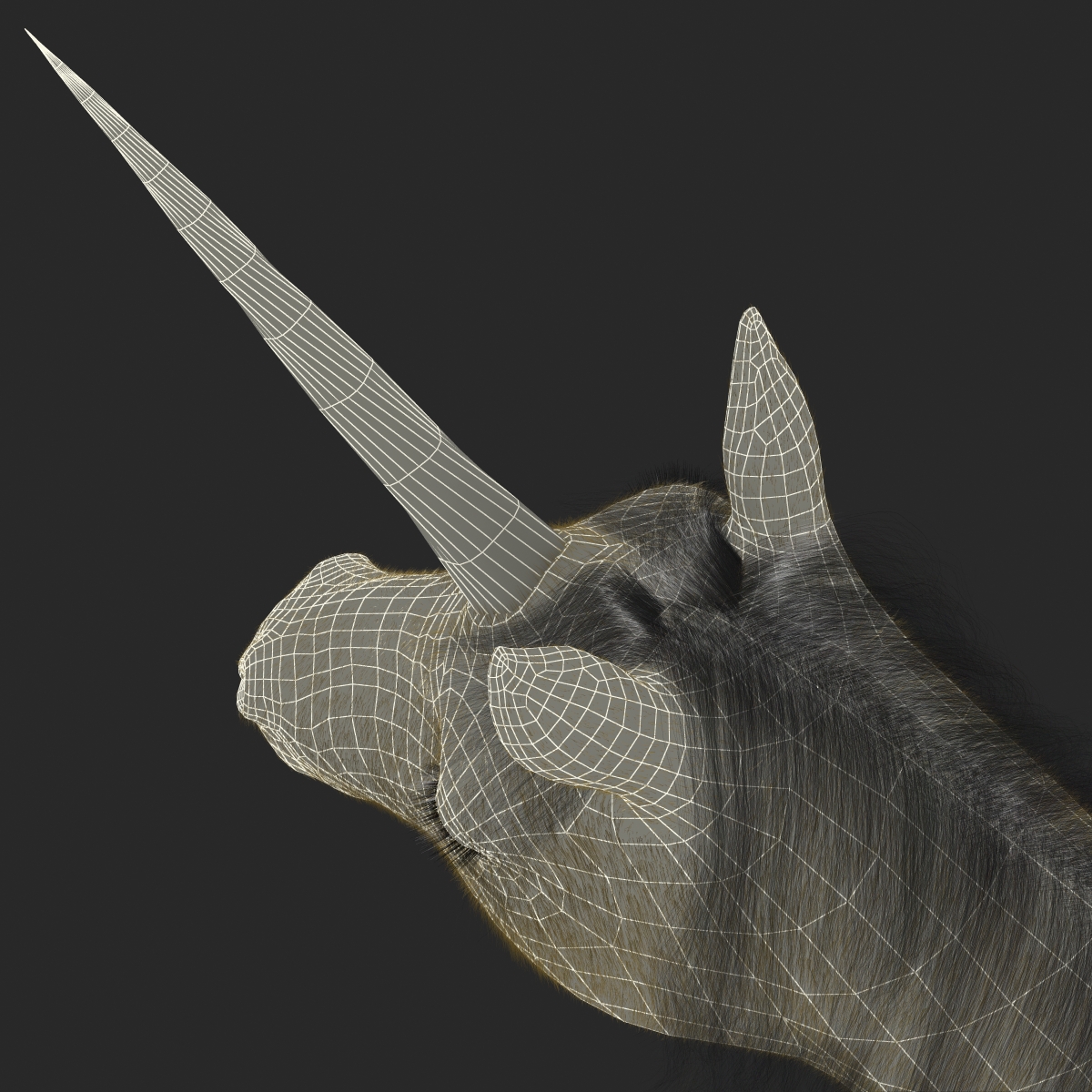 3D Unicorn with Fur 2 model