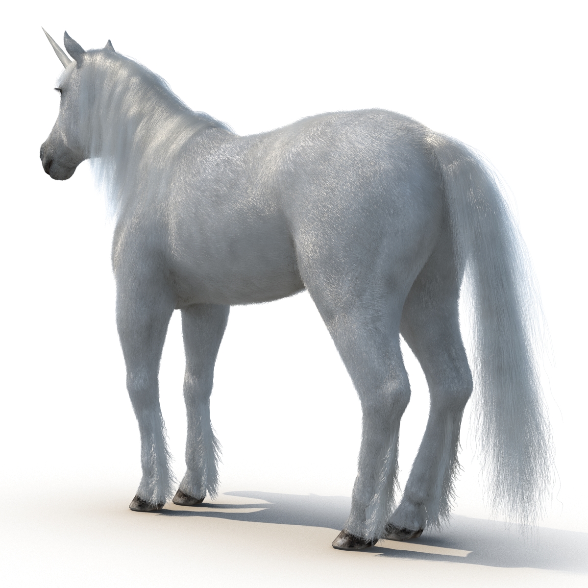 3D Unicorn with Fur 2 model