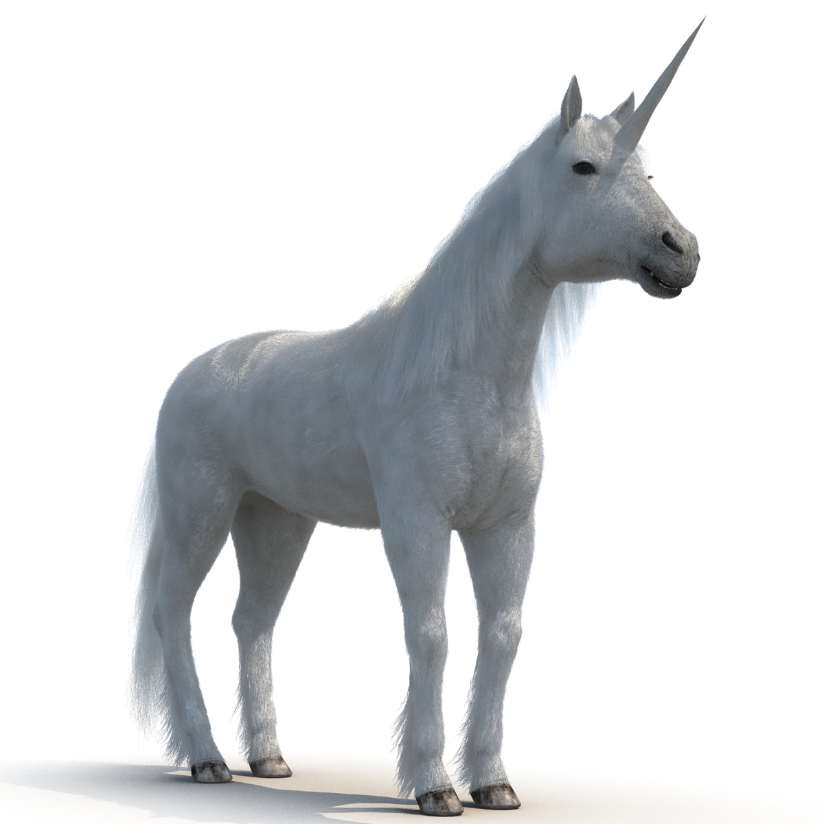 3D Unicorn with Fur 2 model