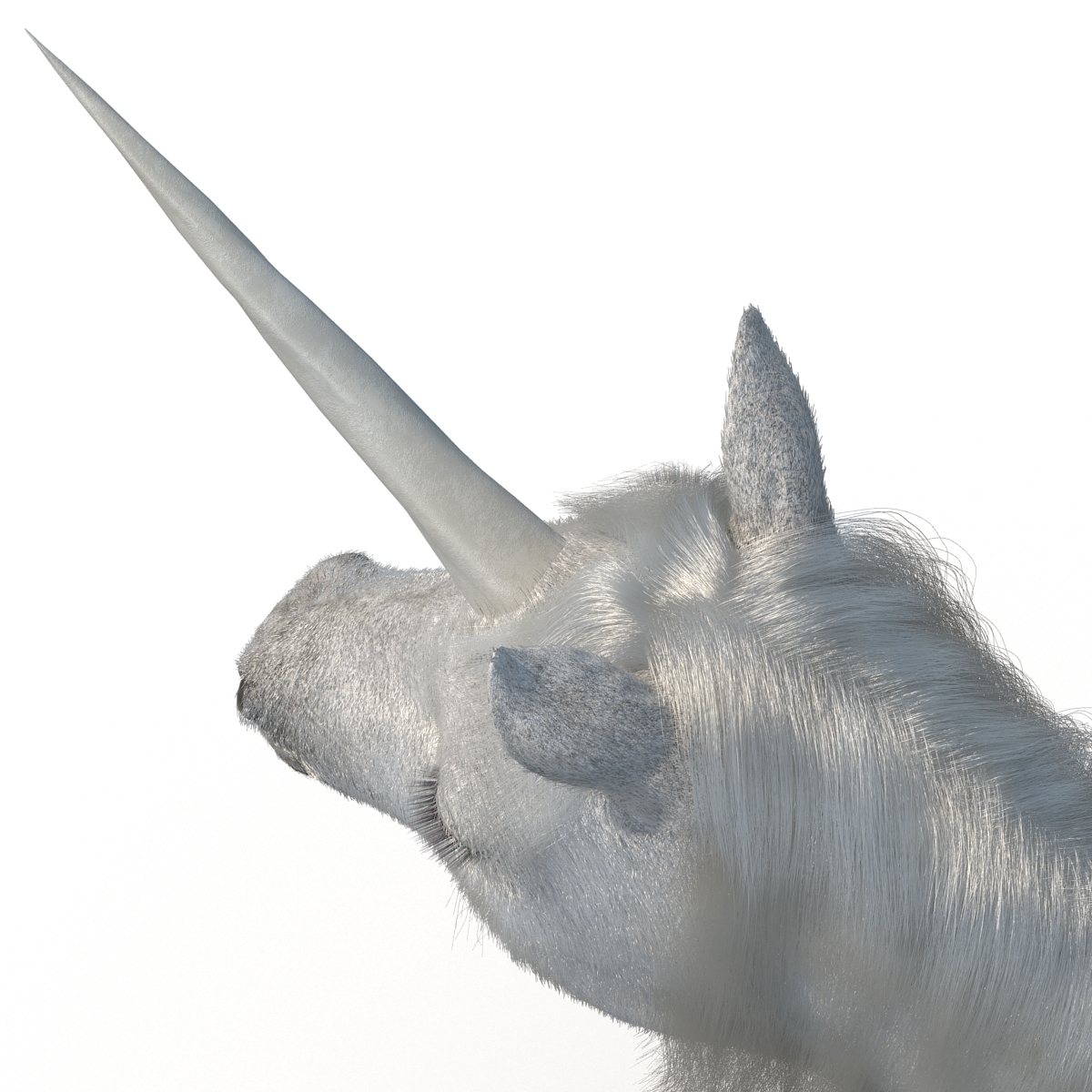 3D Unicorn with Fur 2 model