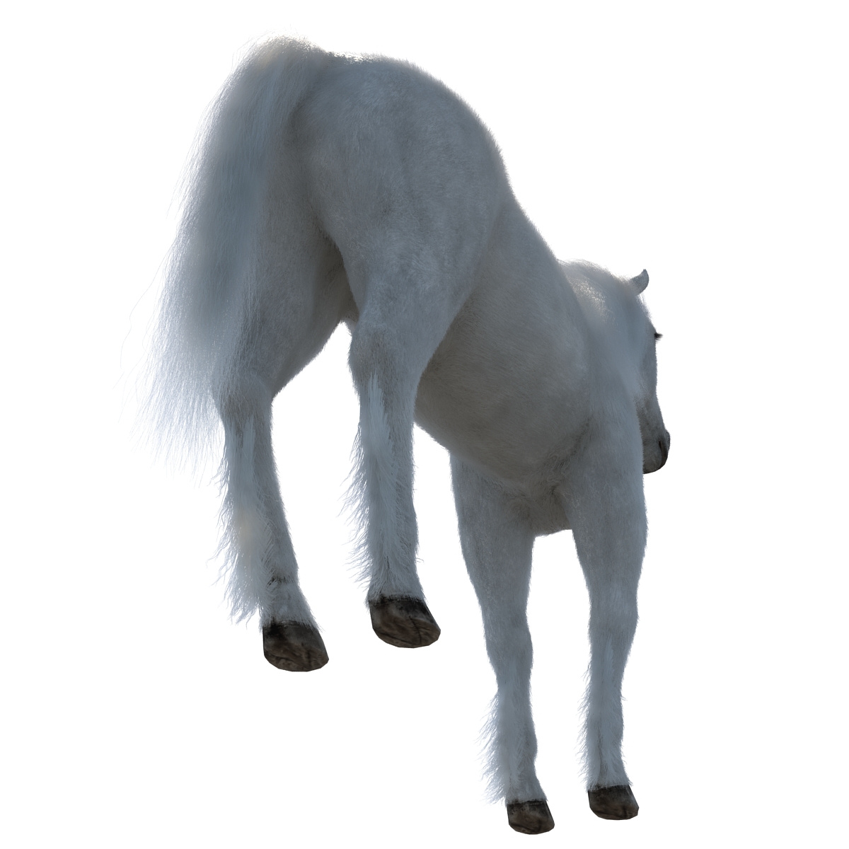 3D Unicorn with Fur 2 model