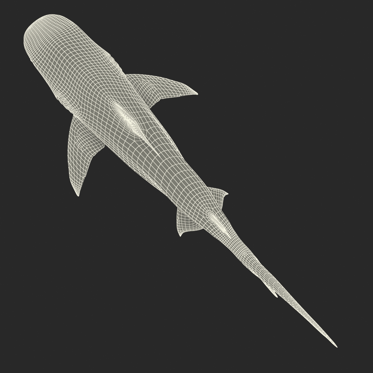 3D Tiger Shark