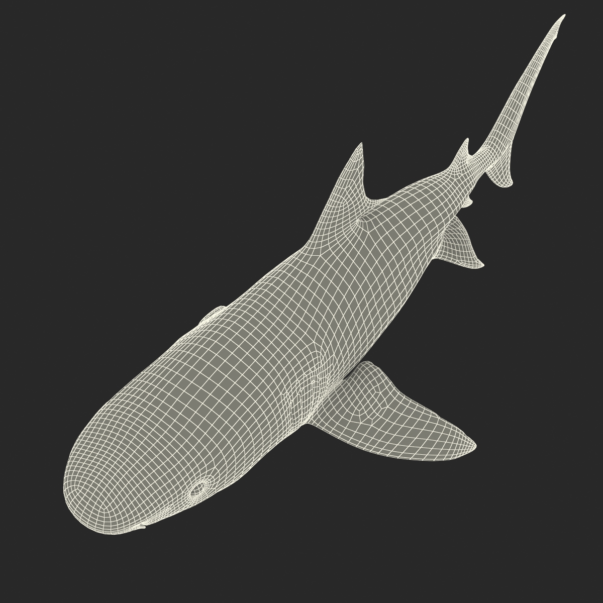 3D Tiger Shark