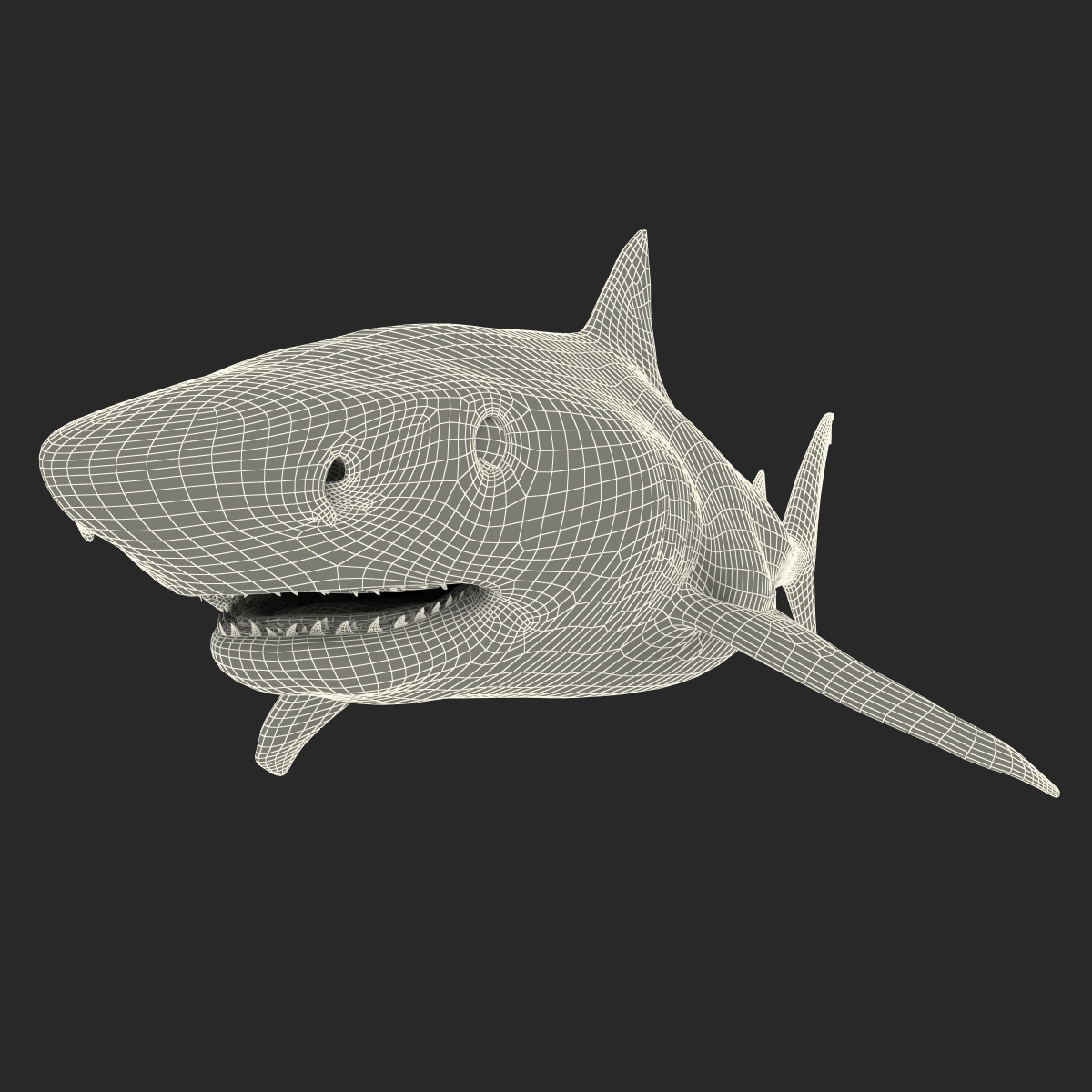 3D Tiger Shark