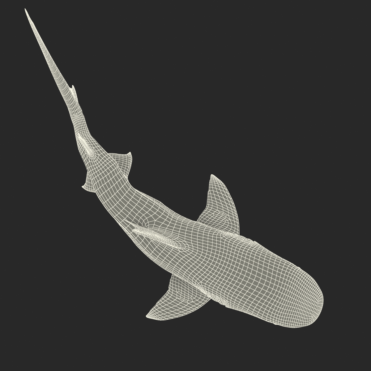 3D Tiger Shark Pose 2 model