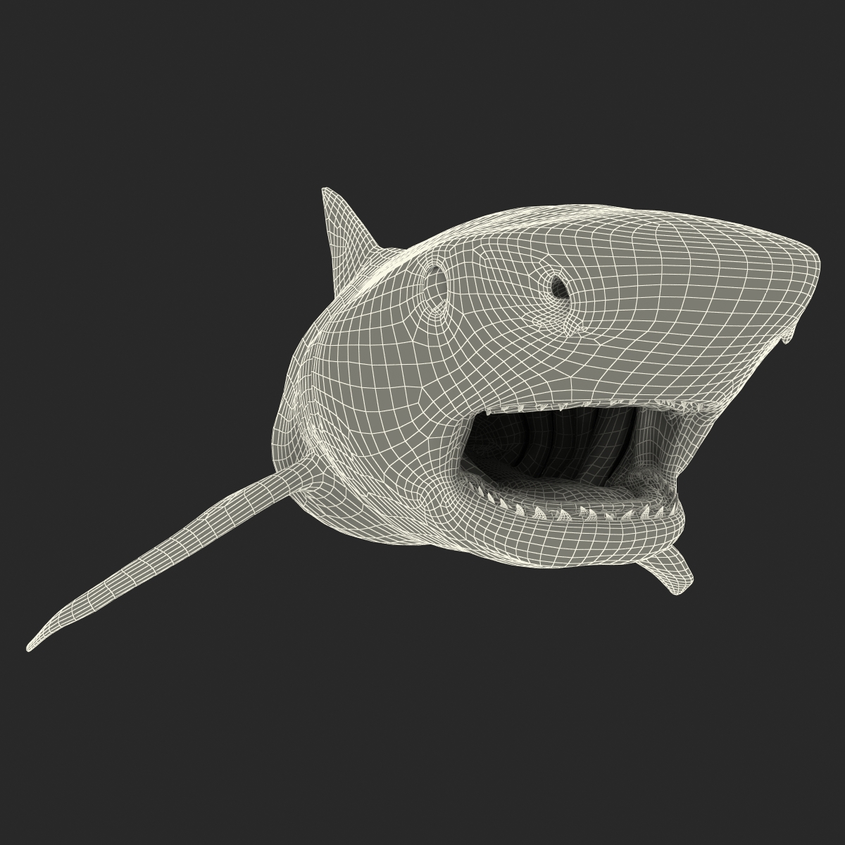 3D Tiger Shark Pose 2 model