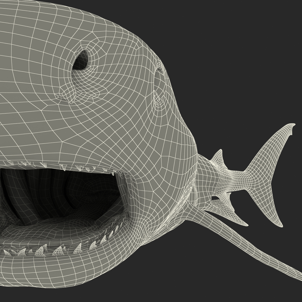 3D Tiger Shark Pose 2 model