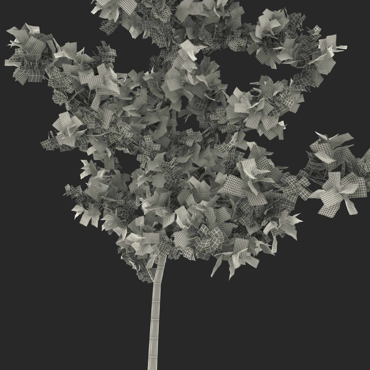 Young White Oak Summer 3D