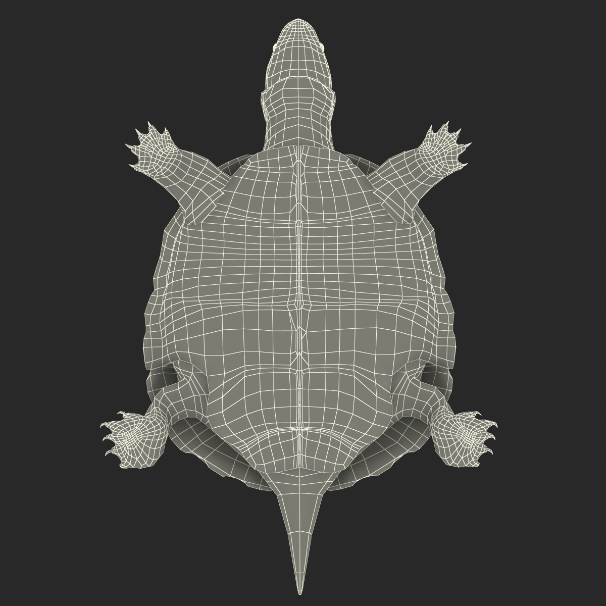 3D model Pond Slider Turtle Rigged