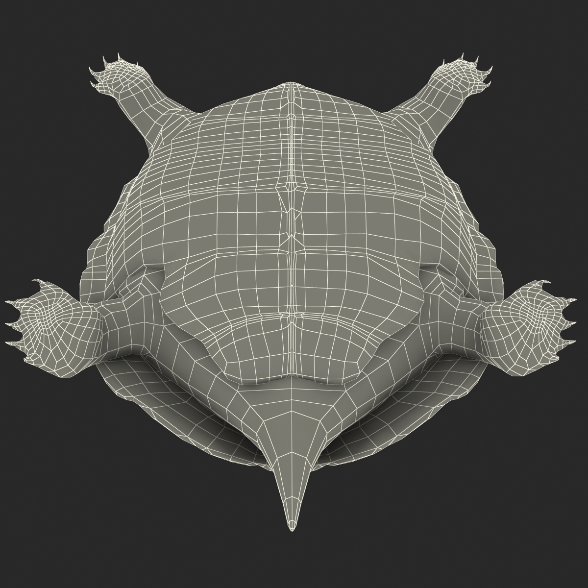 3D model Pond Slider Turtle Rigged