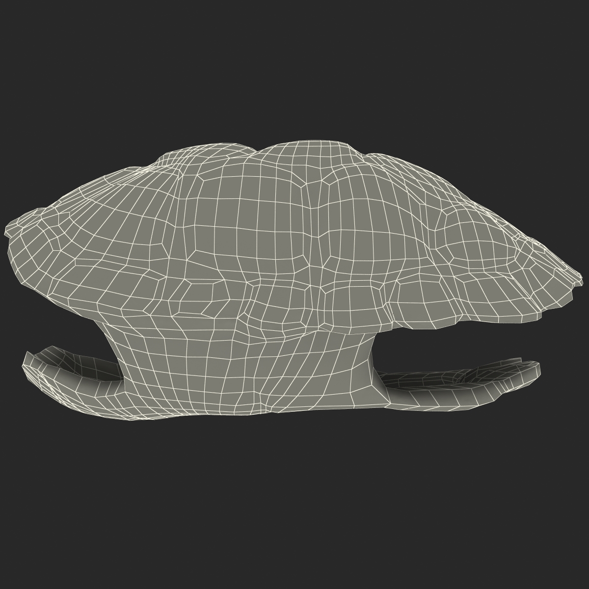 Turtle Shell 3D