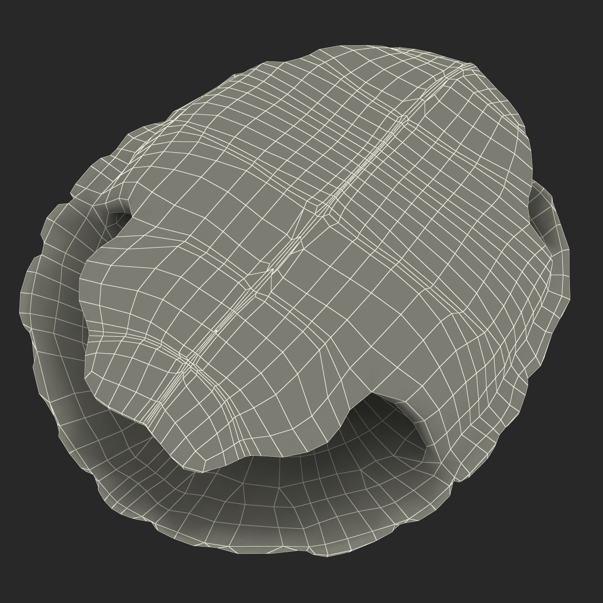 Turtle Shell 3D