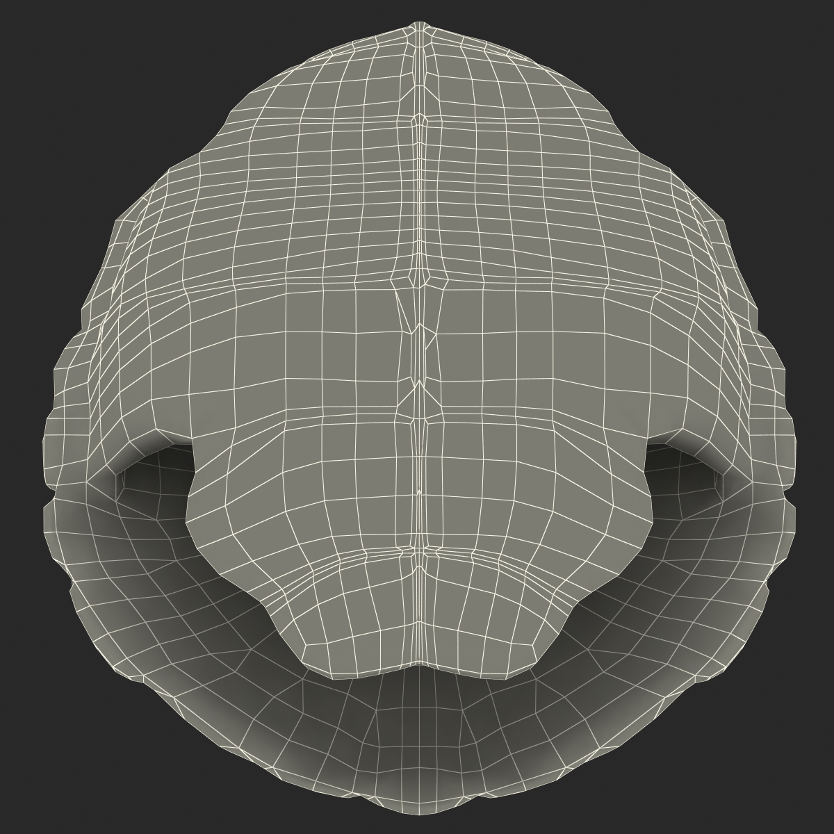 Turtle Shell 3D