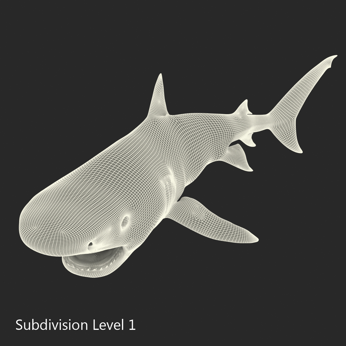 3D Tiger Shark Pose 2 model