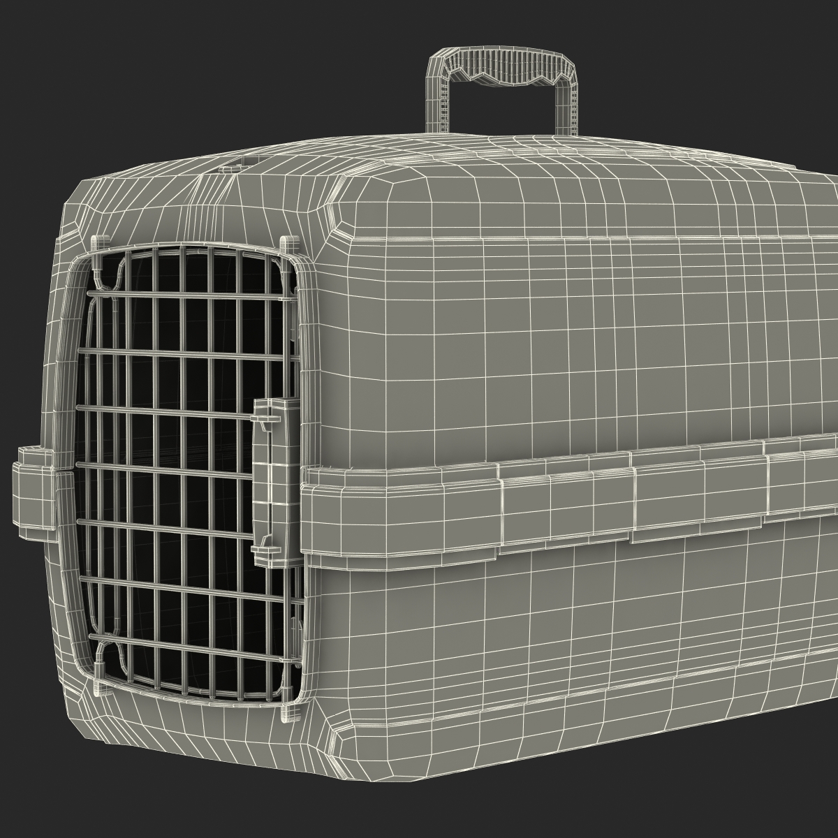 Small Pet Carrier 3D