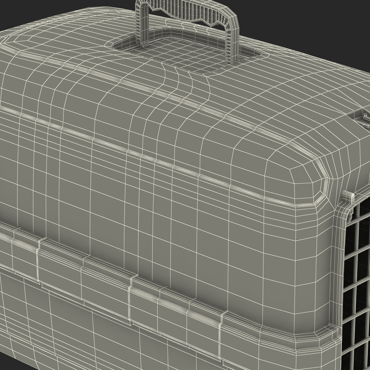 Small Pet Carrier 3D