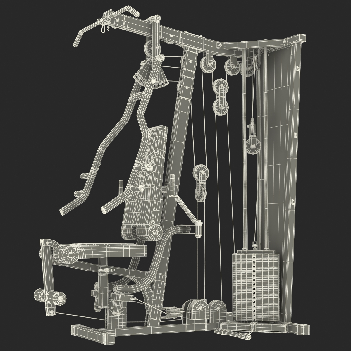 Weight Machine 3D model