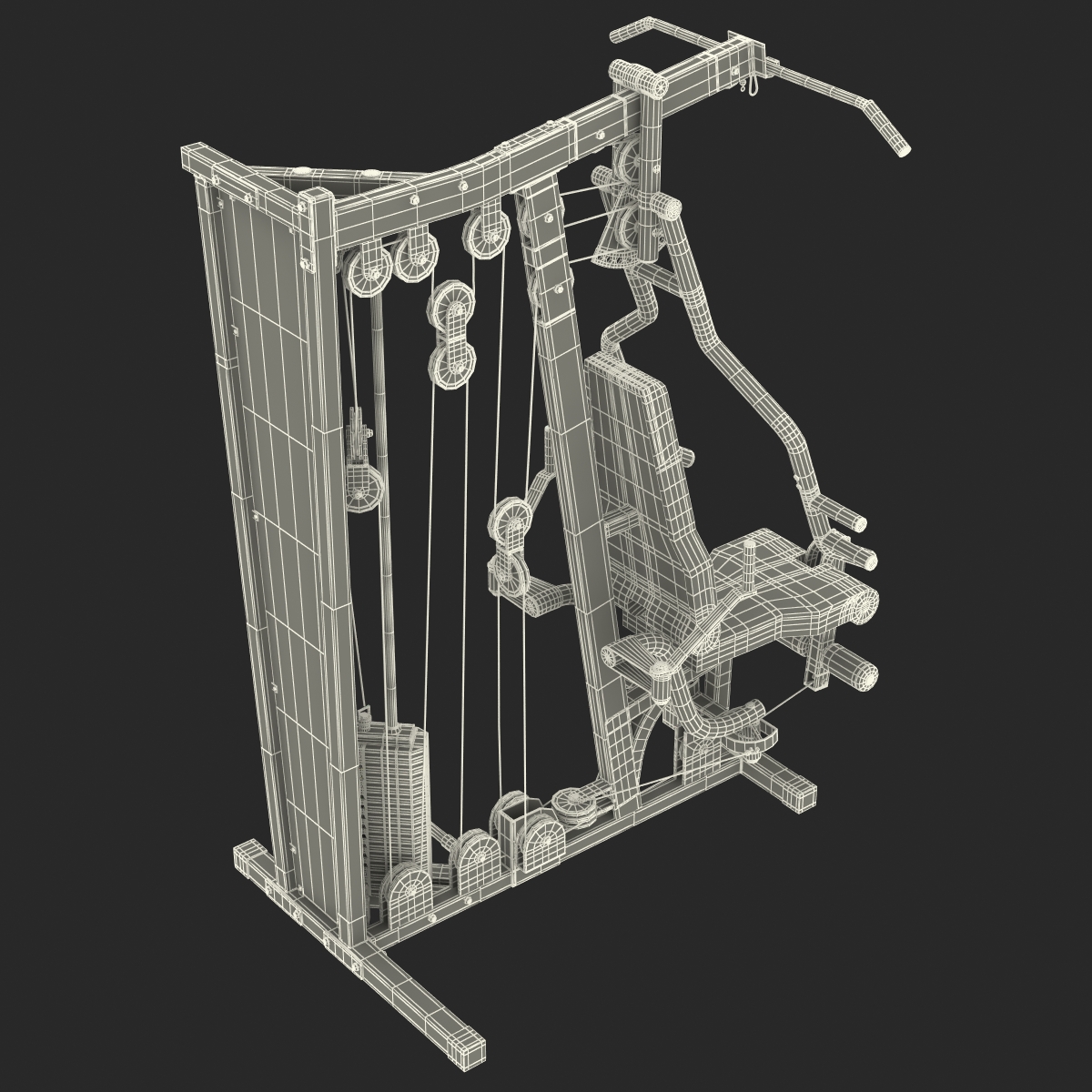 Weight Machine 3D model