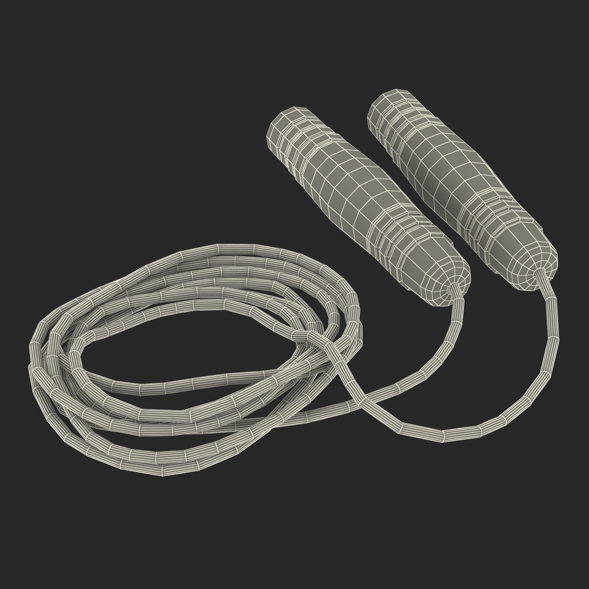 3D Exercise Jump Rope model