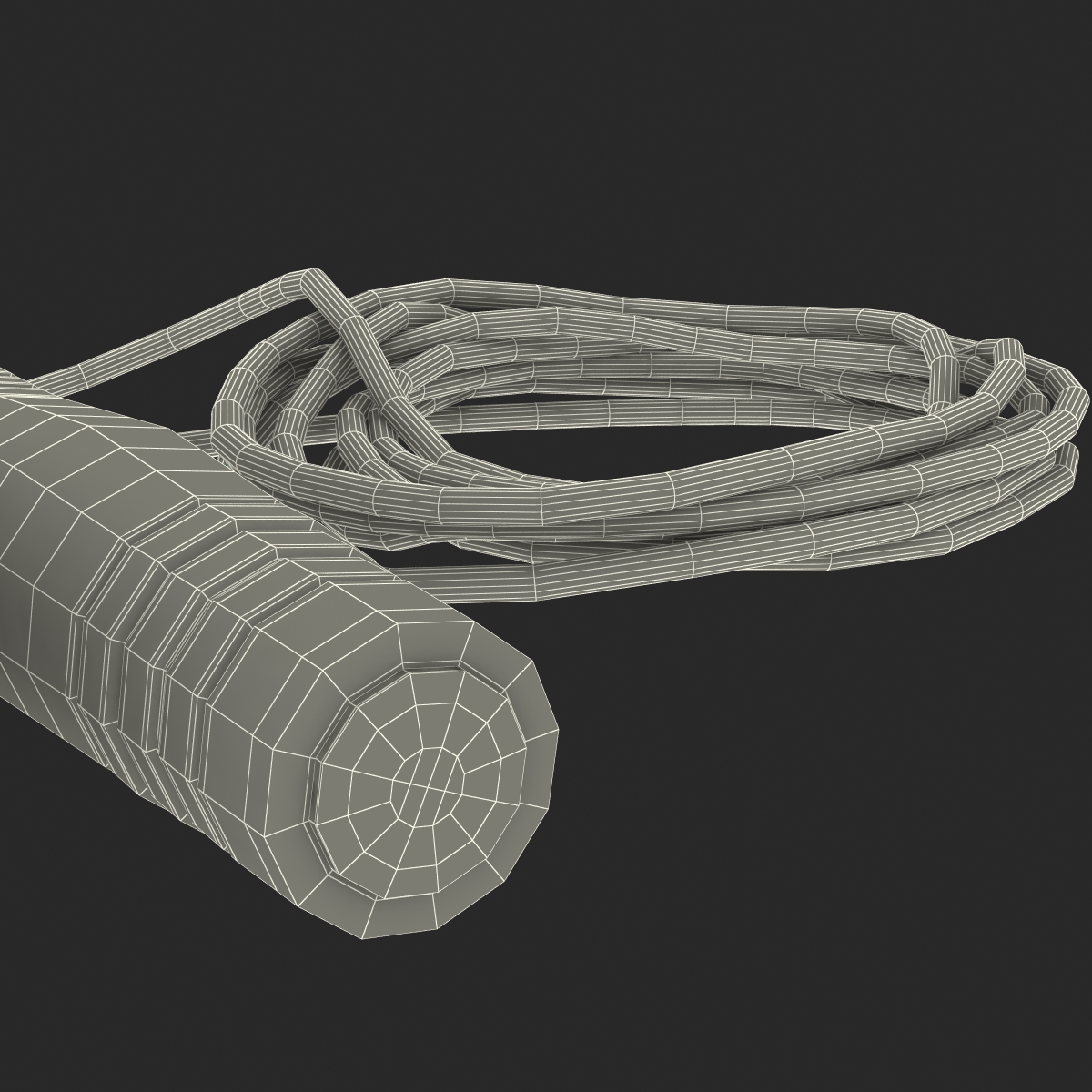 3D Exercise Jump Rope model