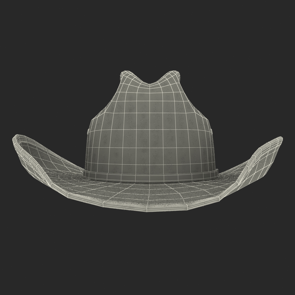 Cowboy Hat 3 3D