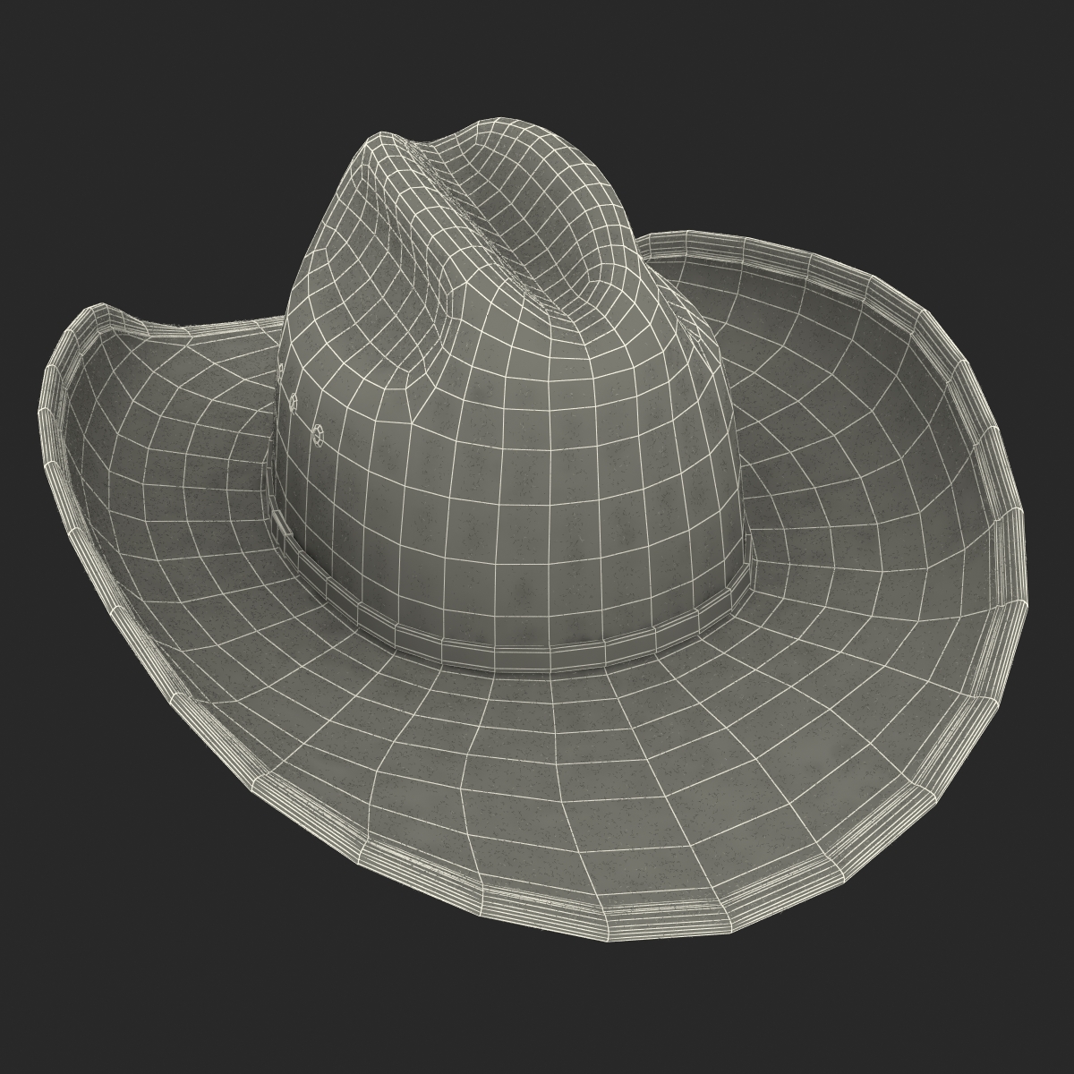 Cowboy Hat 3 3D