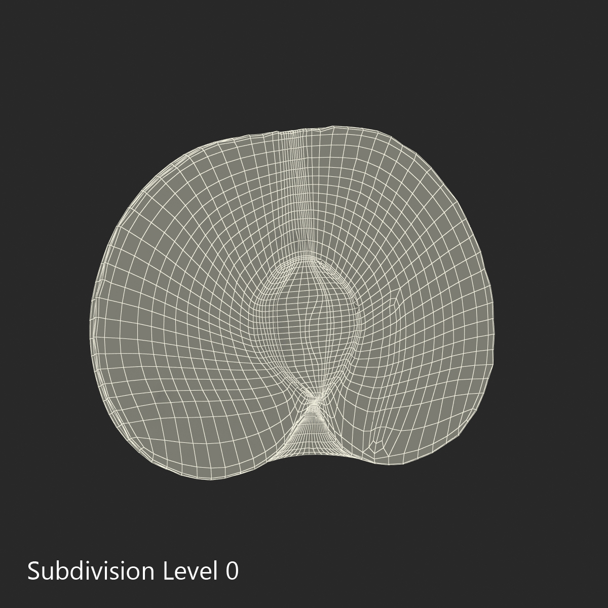 3D model Plum Cross Section 6