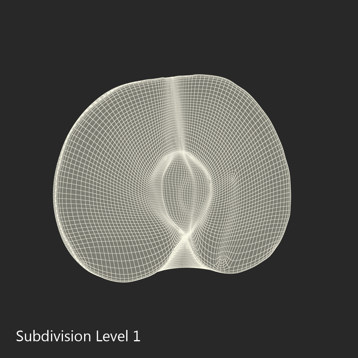 3D model Plum Cross Section 6