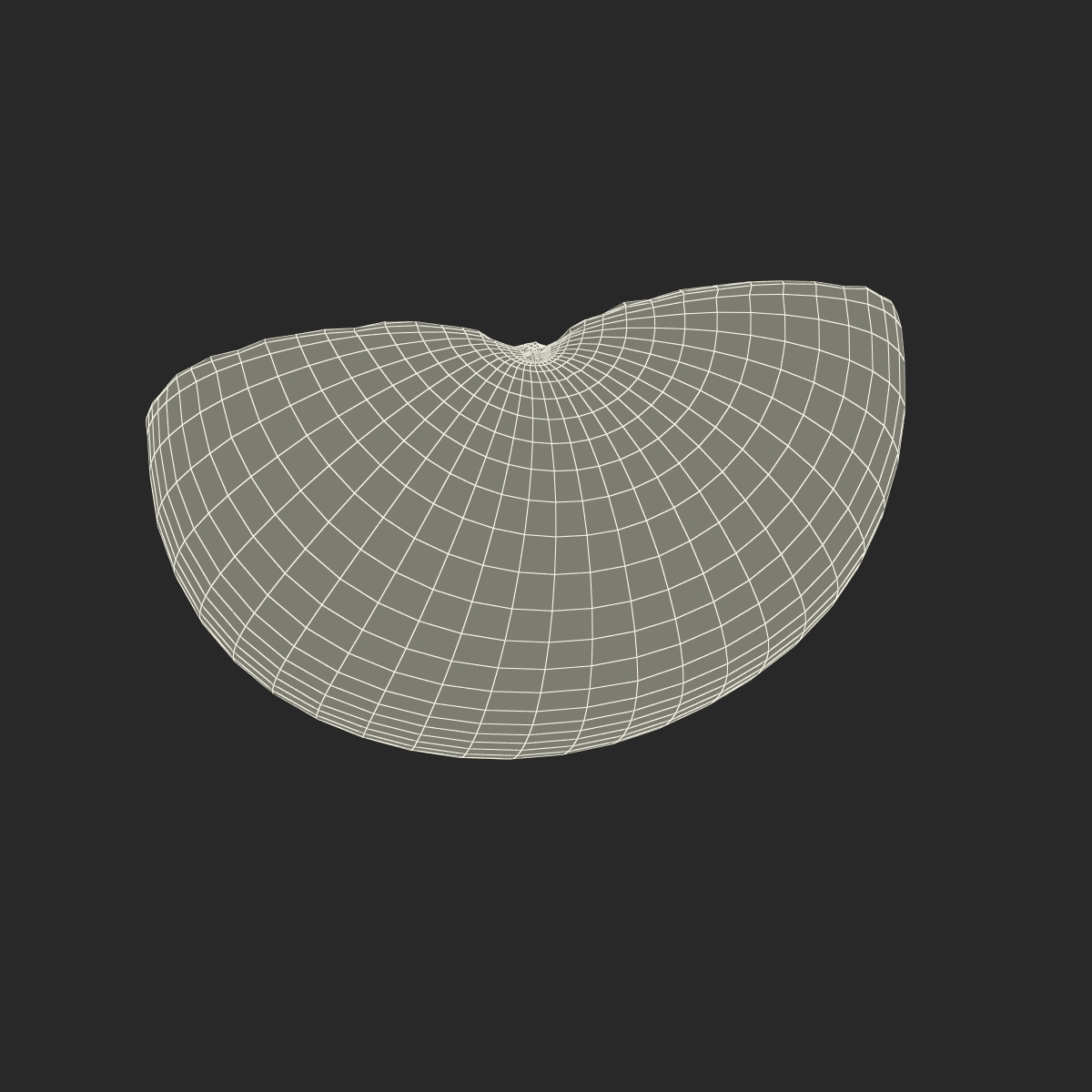 3D model Plum Cross Section 6