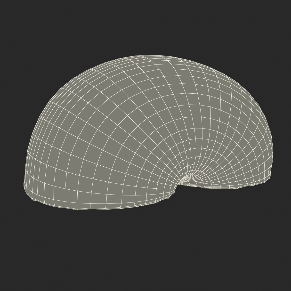 3D model Plum Cross Section 6