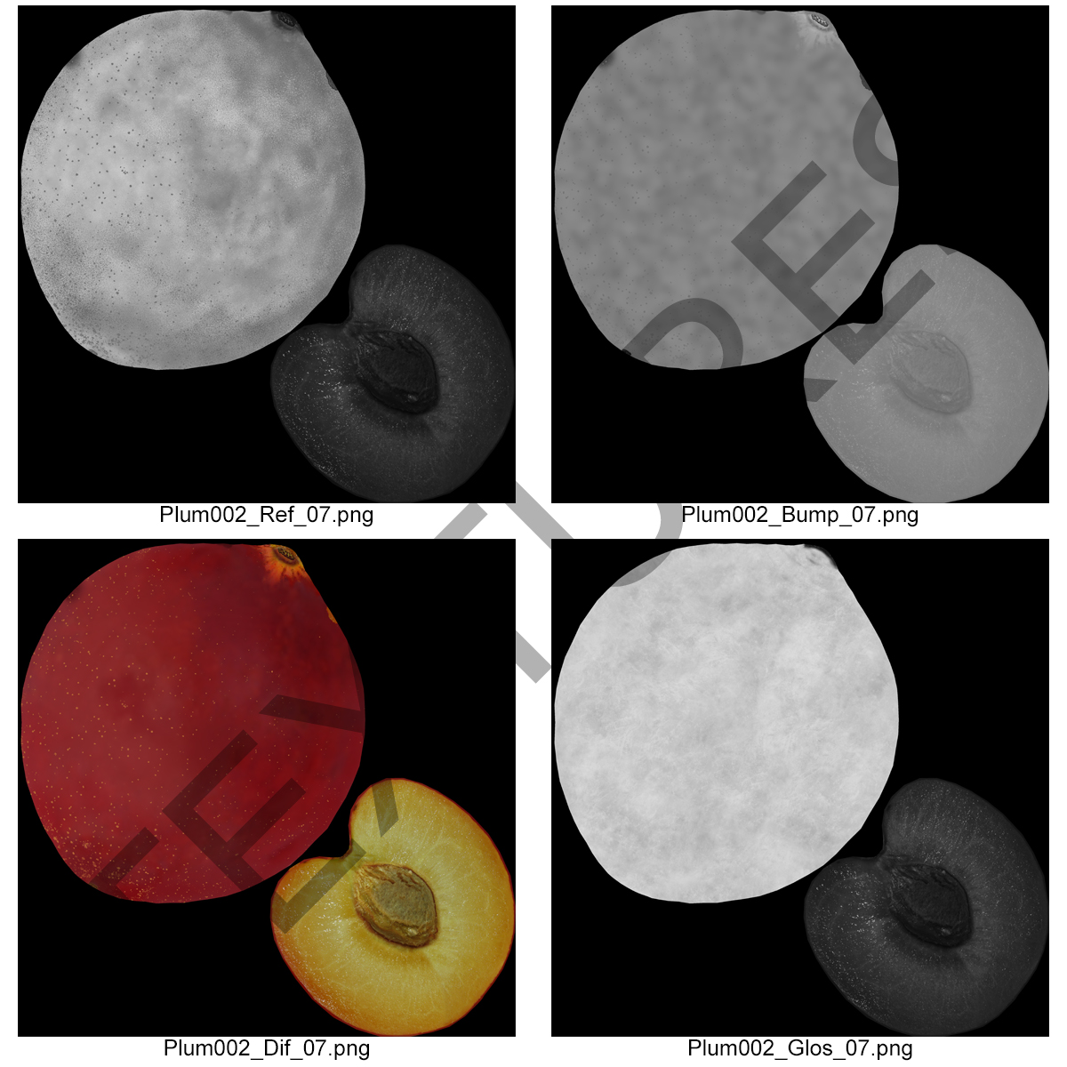 3D model Plum Cross Section 5