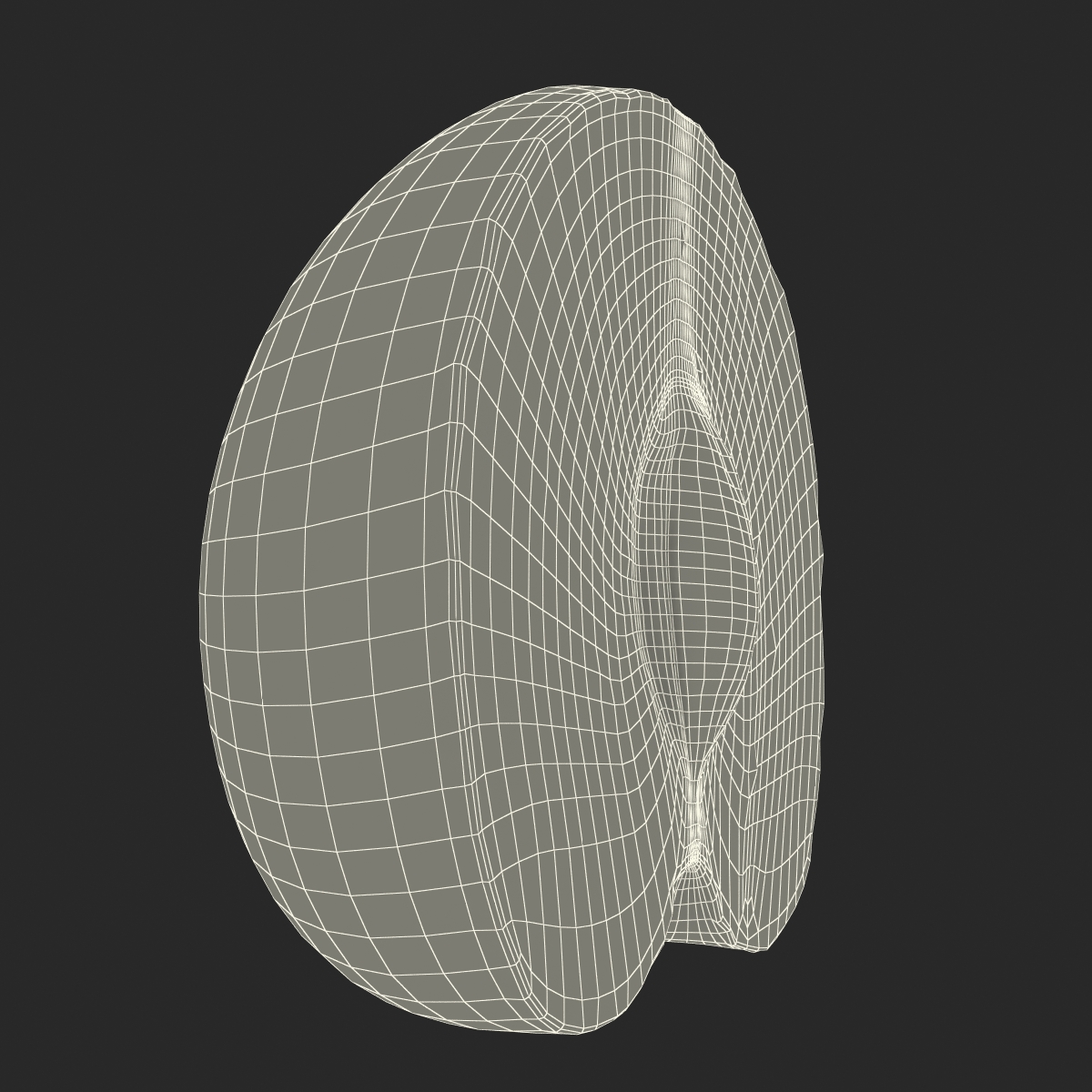 3D model Plum Cross Section 5