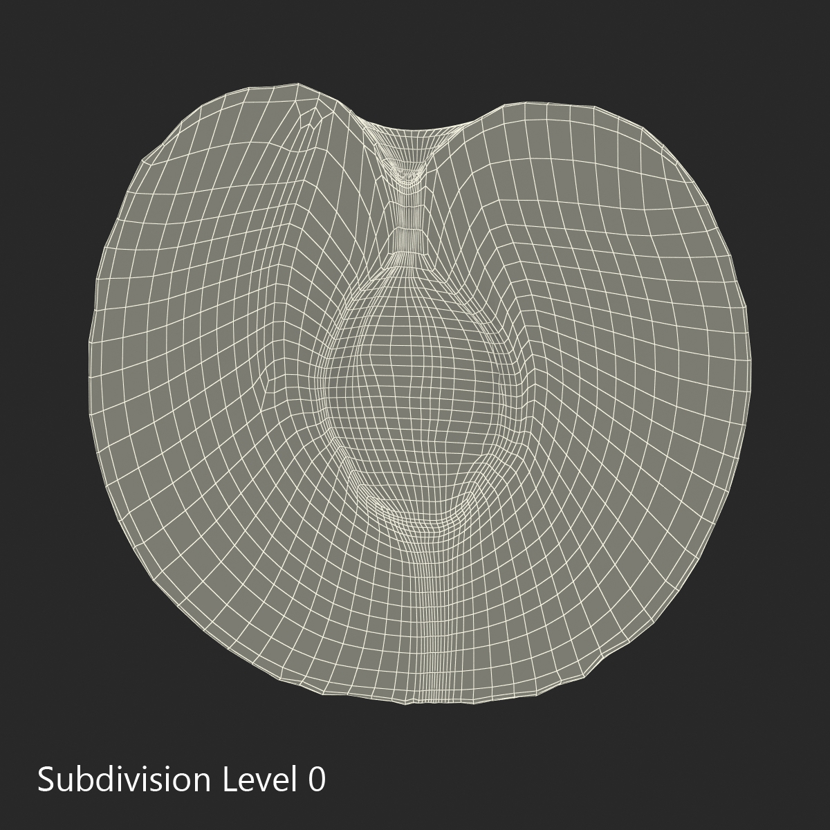 3D model Plum Cross Section 4