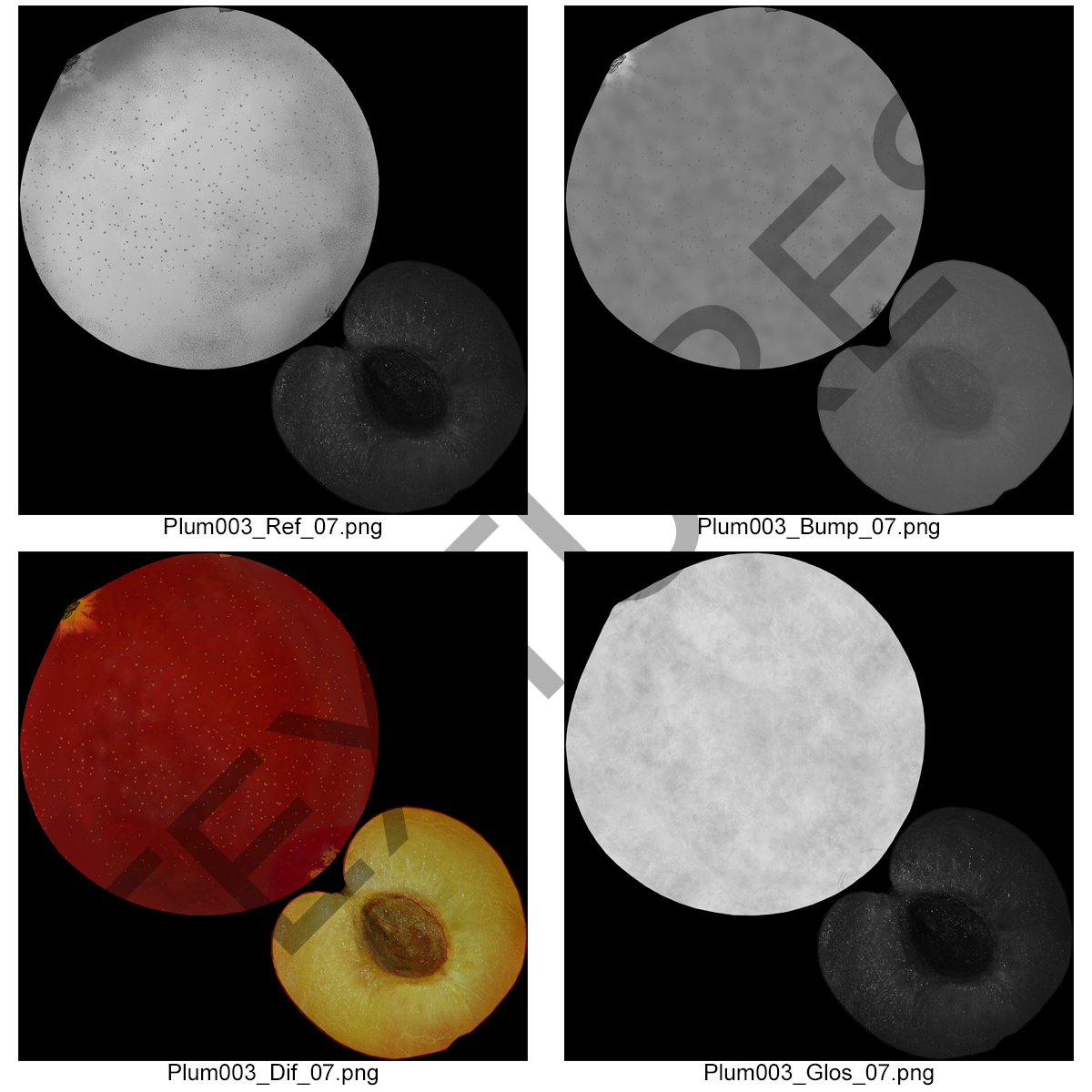 3D model Plum Cross Section 4