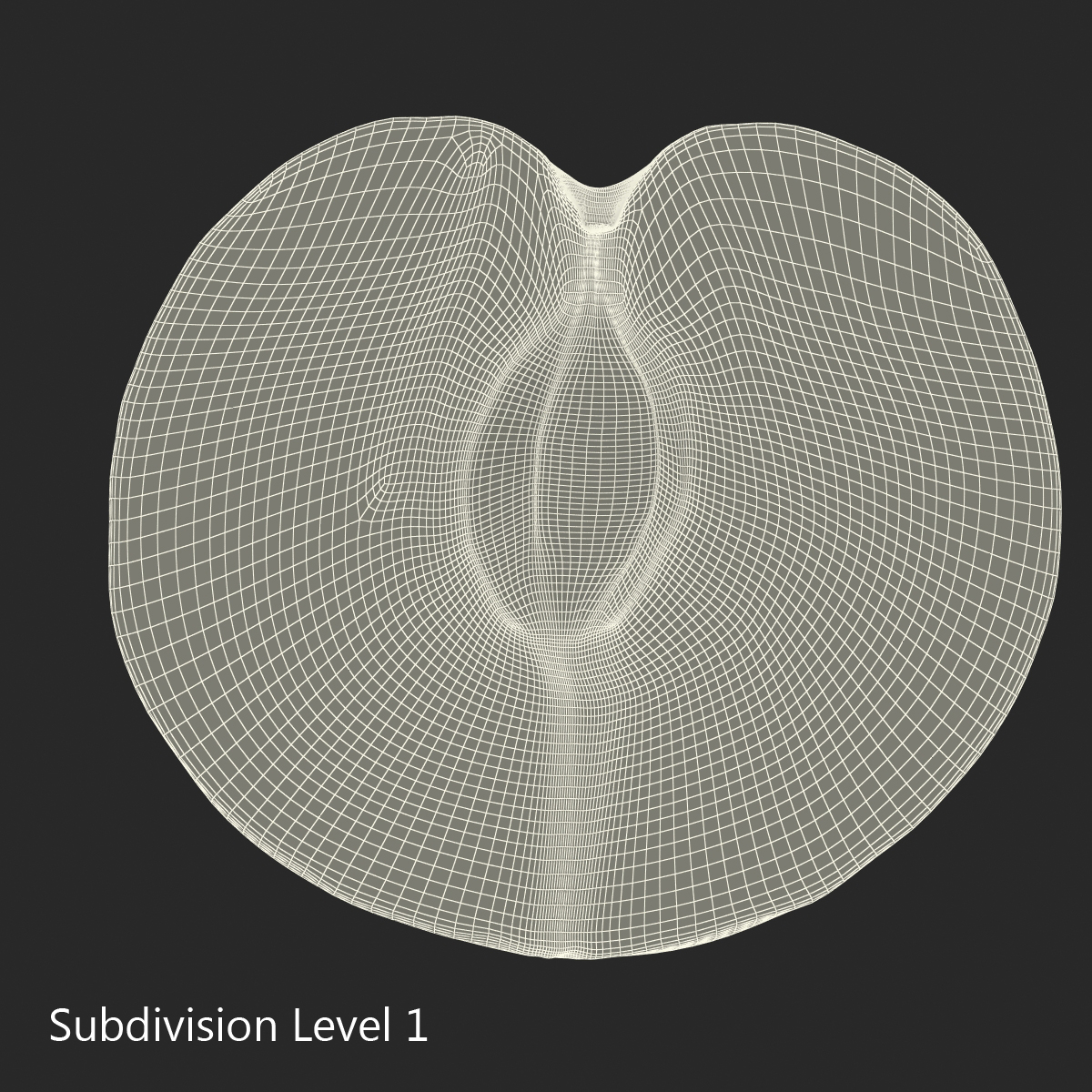 3D model Plum Cross Section 3