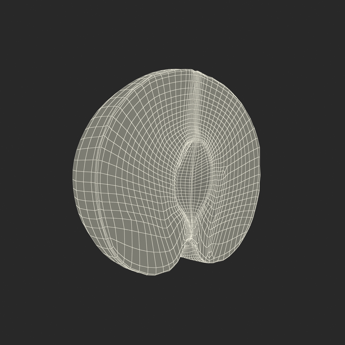 3D model Plum Cross Section 3