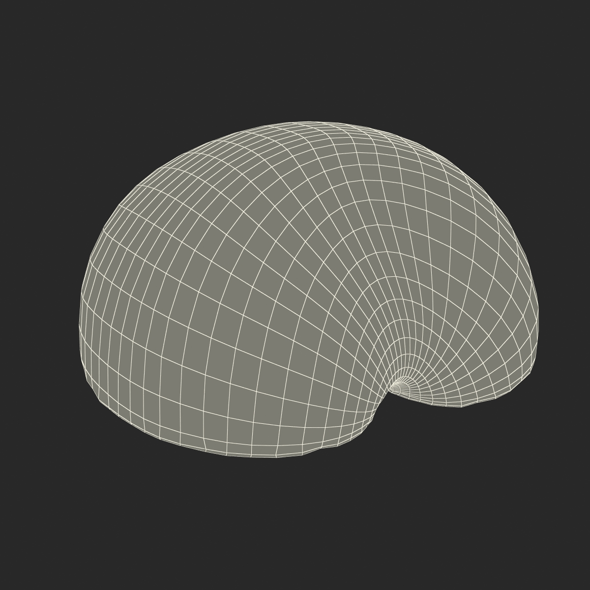 3D model Plum Cross Section 3