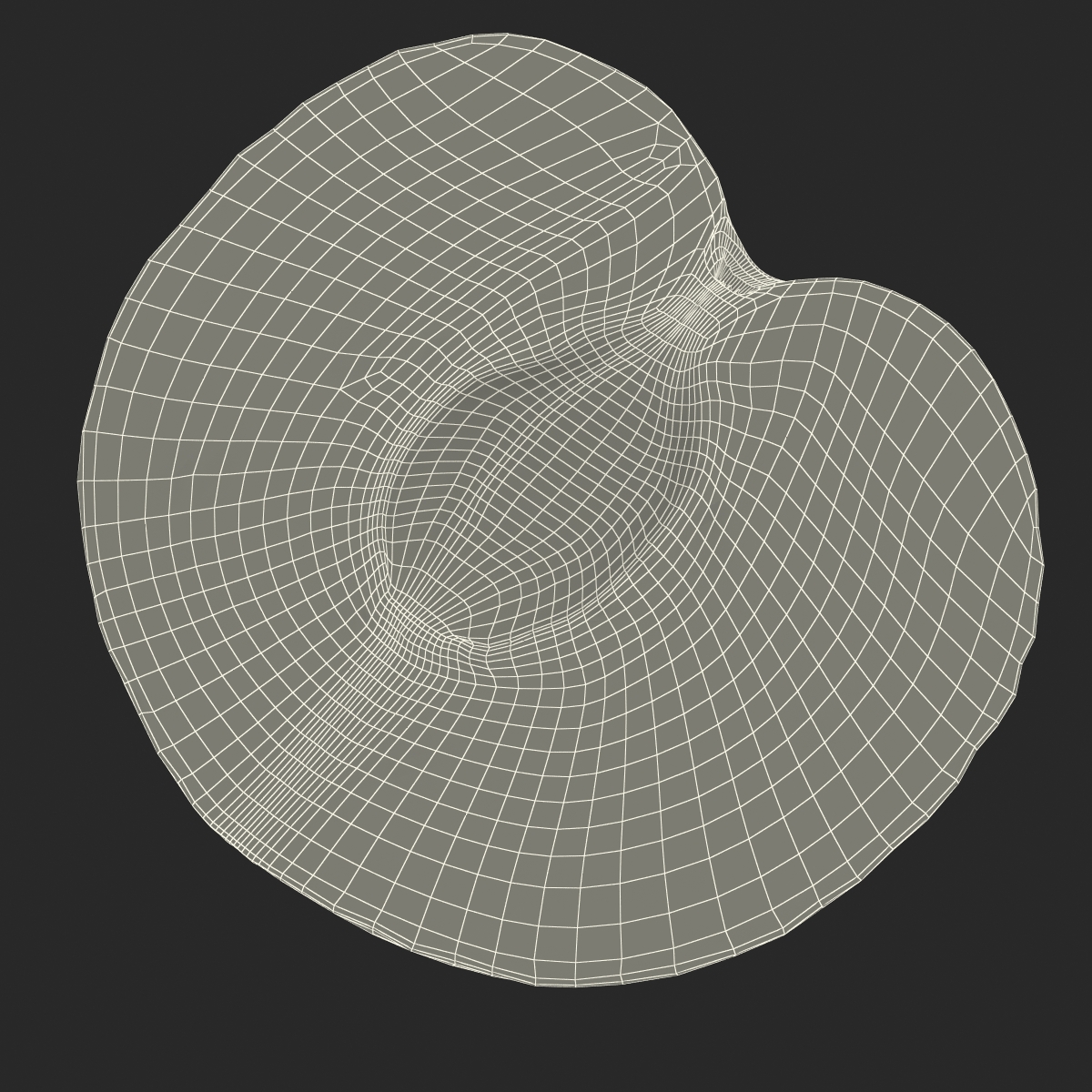 3D model Plum Cross Section 2