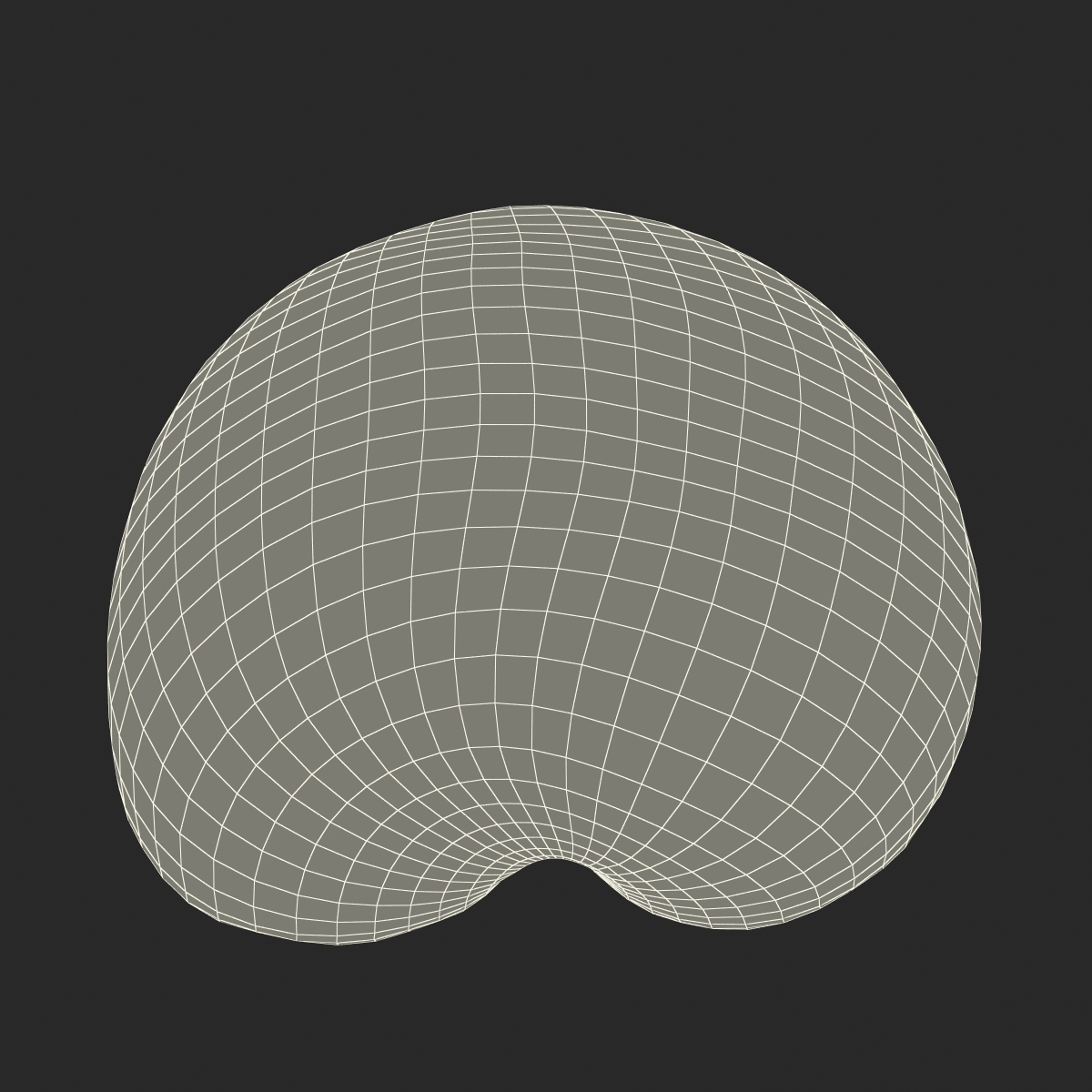 3D model Plum Cross Section 2