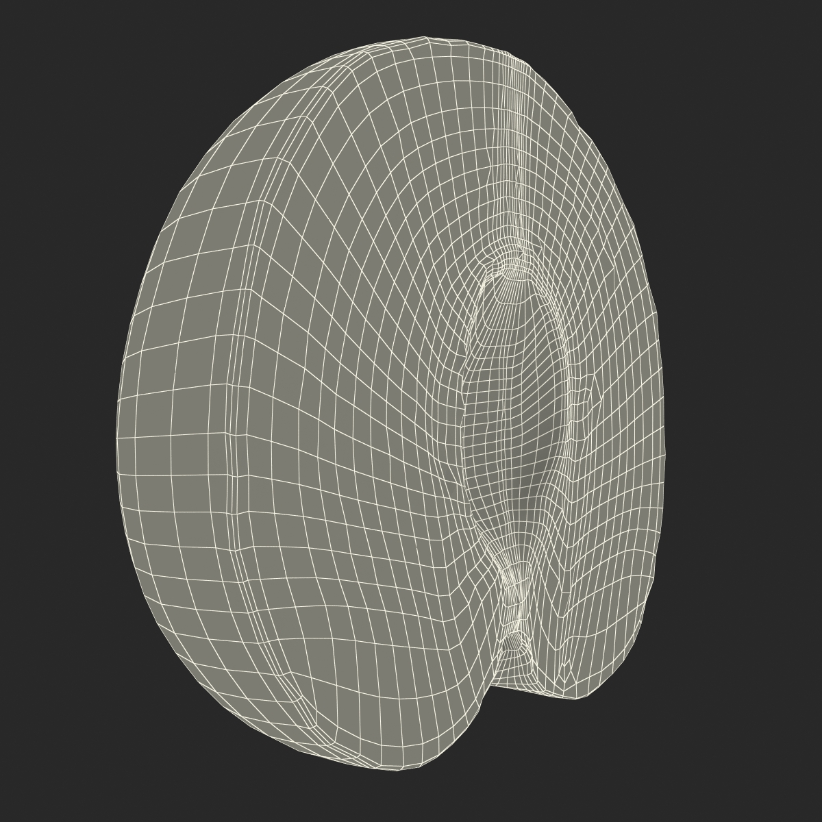 3D model Plum Cross Section 2