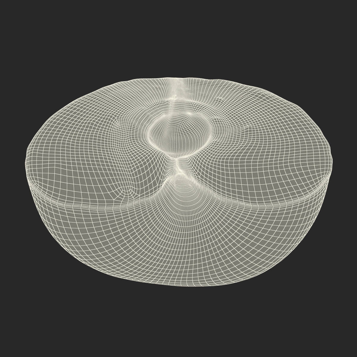 3D Plum Cross Section model