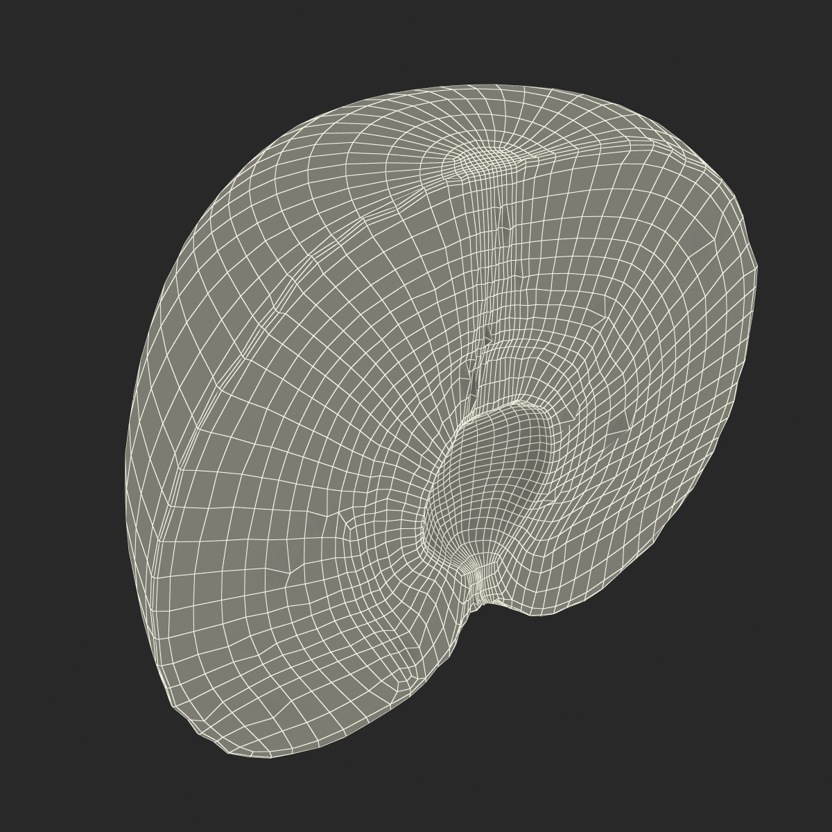 3D Plum Cross Section model