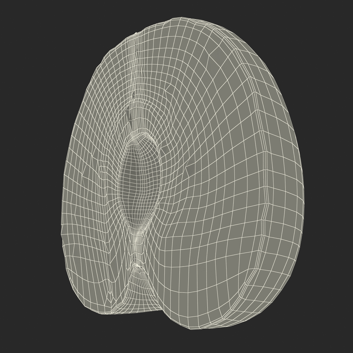 3D Plum Cross Section model