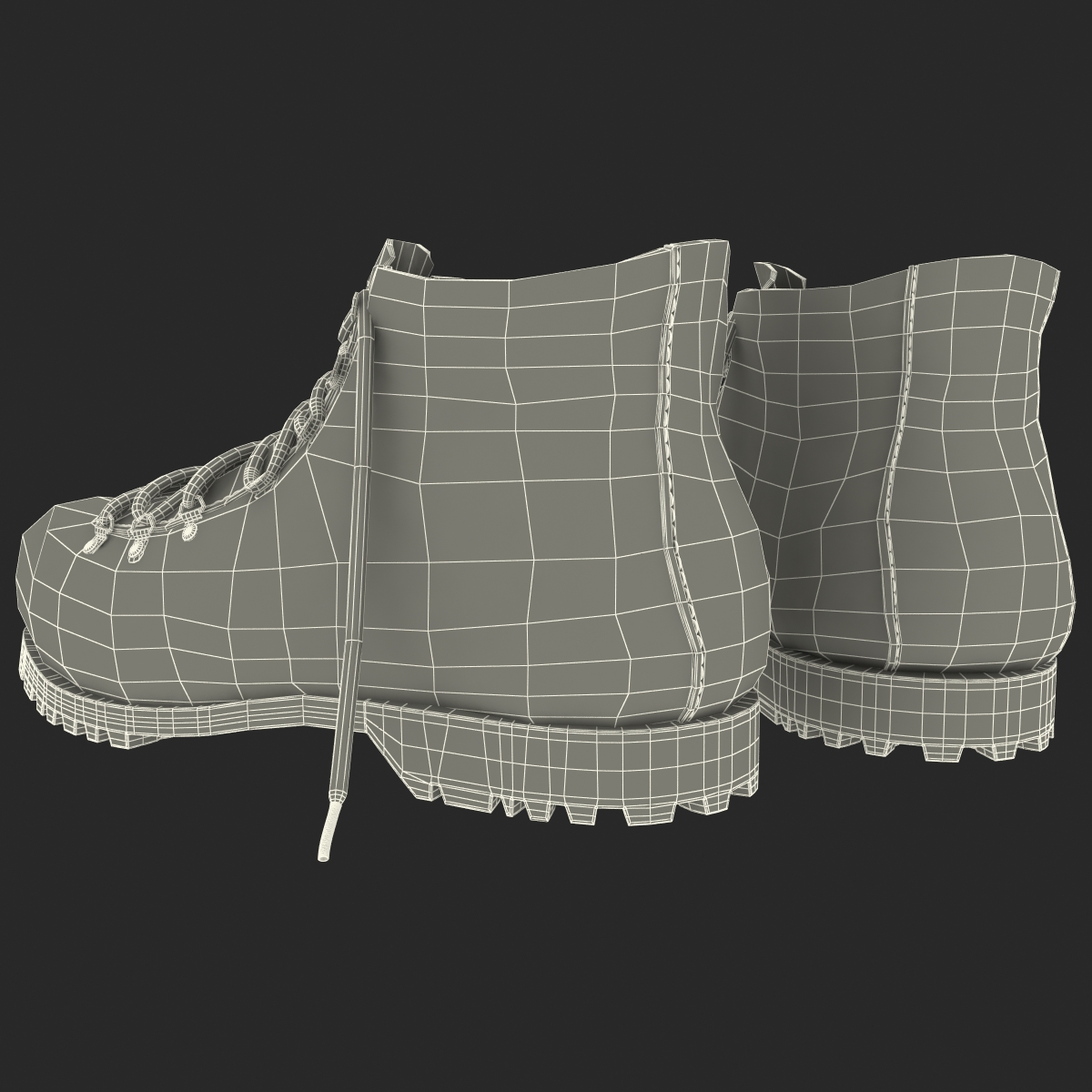 Hiking Boots 3D