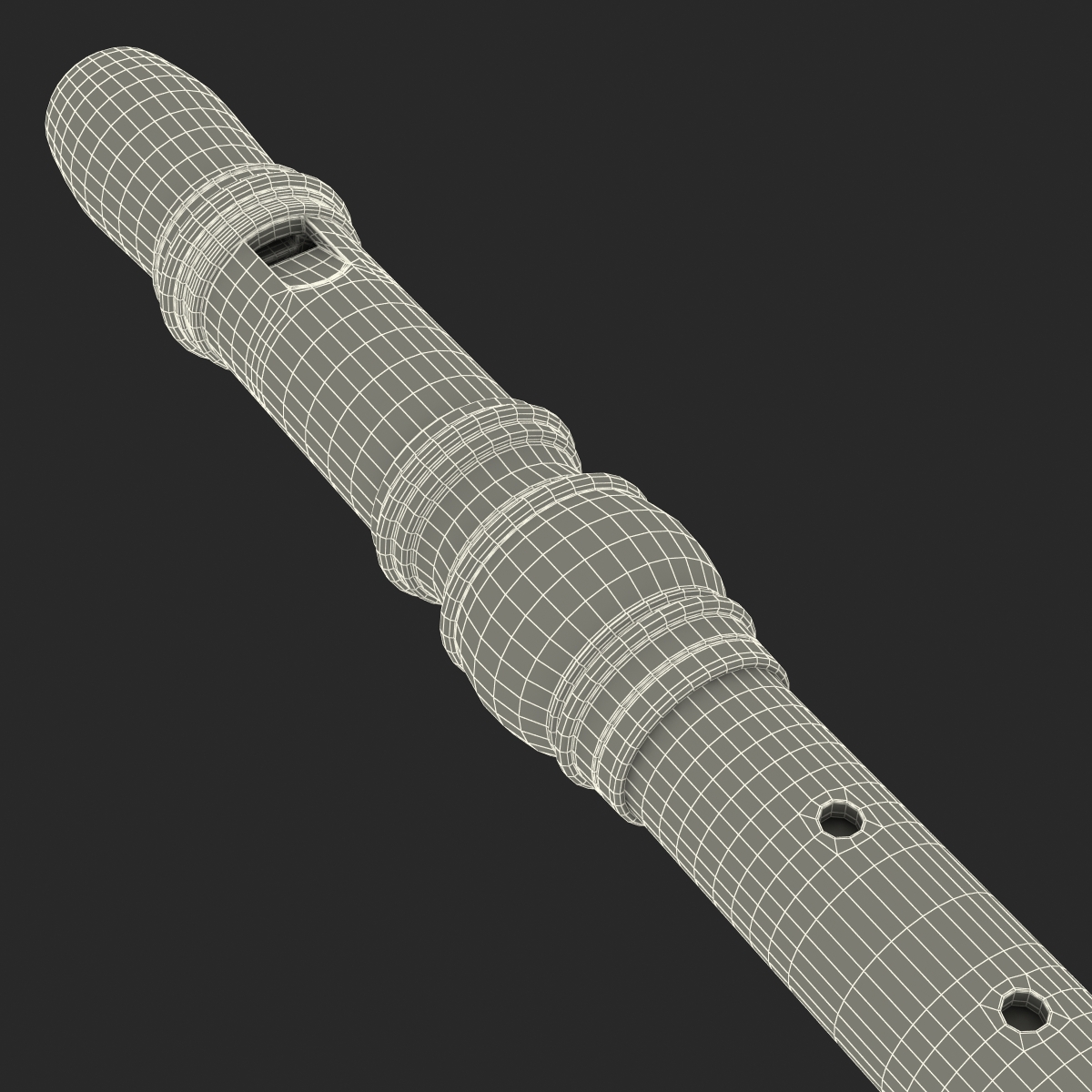 Recorder Musical Instrument 3D