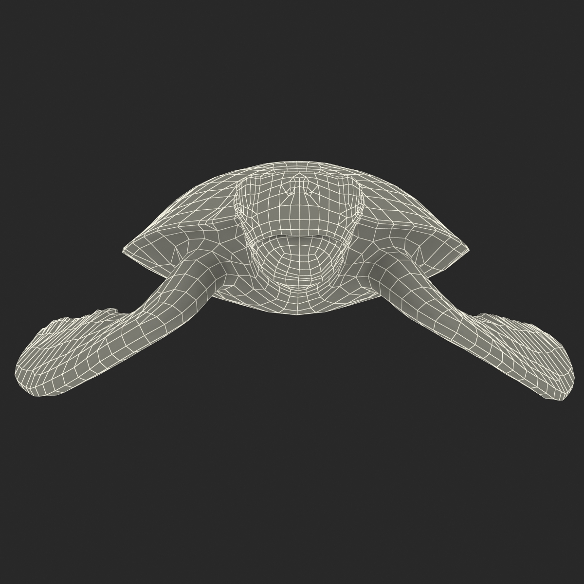 Sea Turtle Pose 2 3D