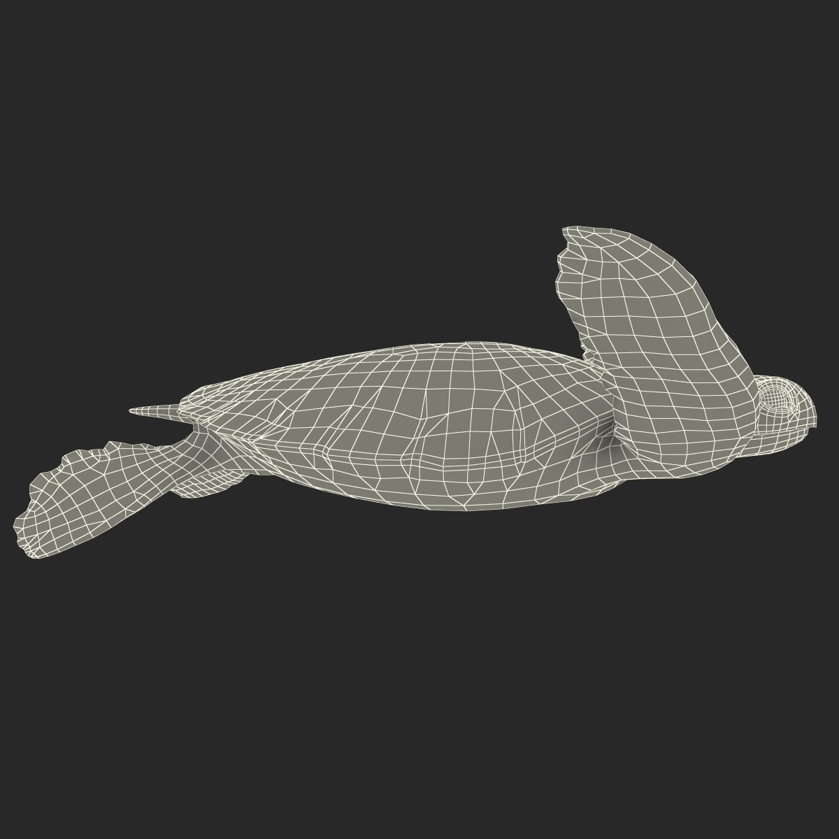 Sea Turtle Pose 3 3D