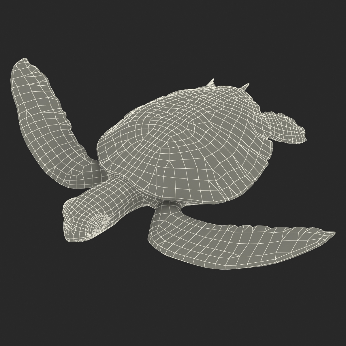 Sea Turtle Pose 3 3D