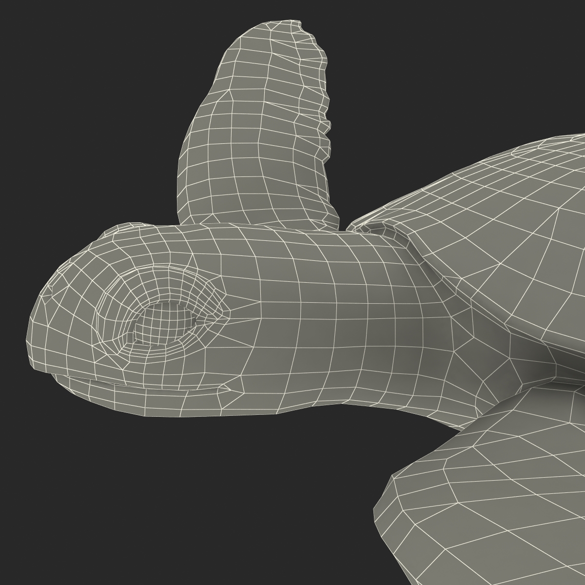 Sea Turtle Pose 3 3D